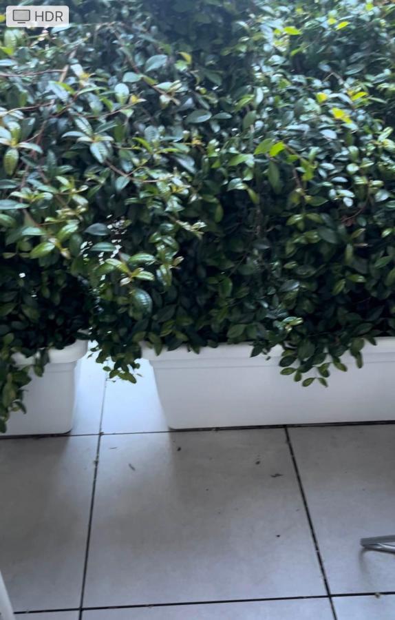 Loft Mono 3 Διαμέρισμα Κάλιαρι Εξωτερικό φωτογραφία